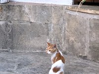 Foto 096